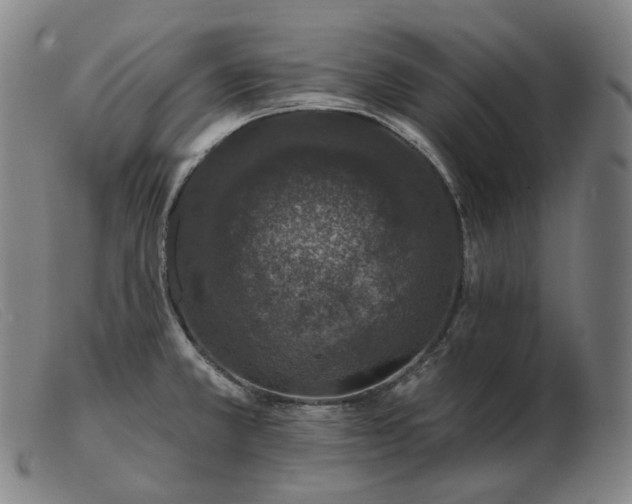 X0000103471381200809191825