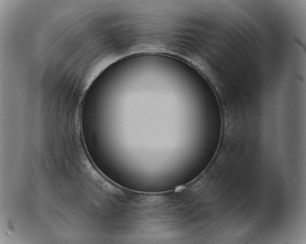 X0000103471382200809191825