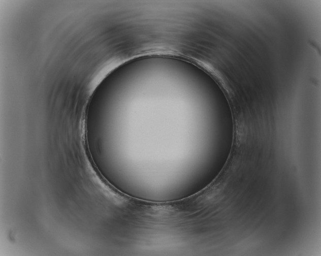 X0000103471383200809191825