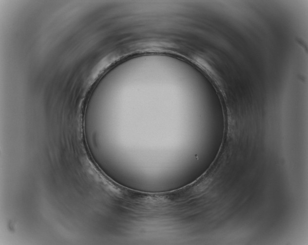 X0000103471384200809191825