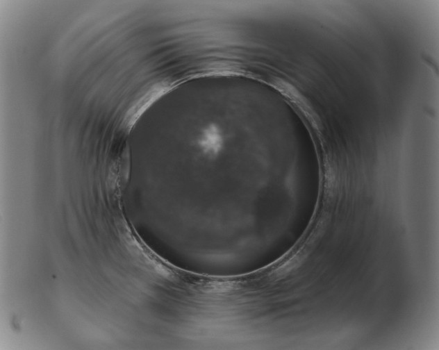 X0000103471385200809191825