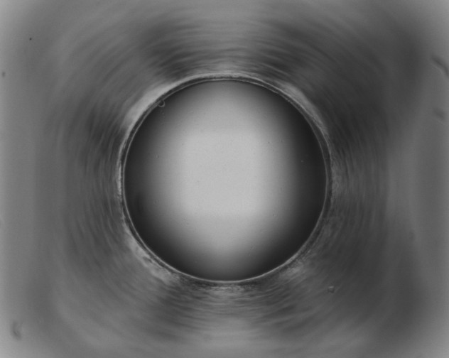 X0000103471388200809191825