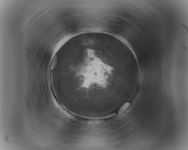 X0000103471389200809191825