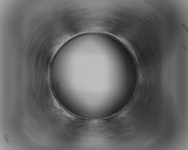 X0000103471390200809191825