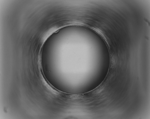 X0000103471391200809191825