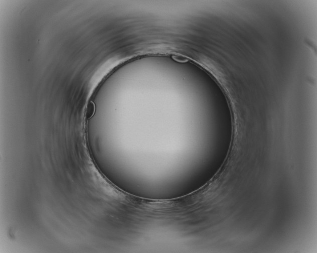 X0000103471392200809191825