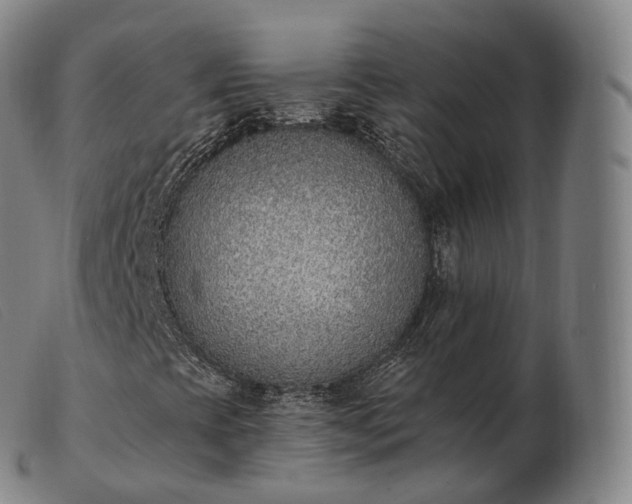 X0000103471393200809191824