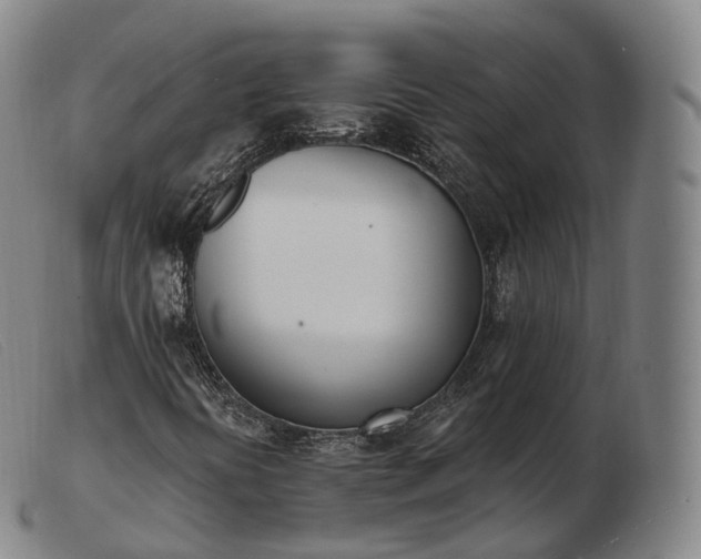 X0000103471394200809191824