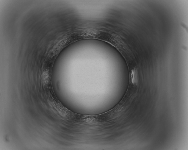 X0000103471395200809191824