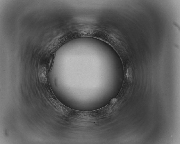 X0000103471396200809191824