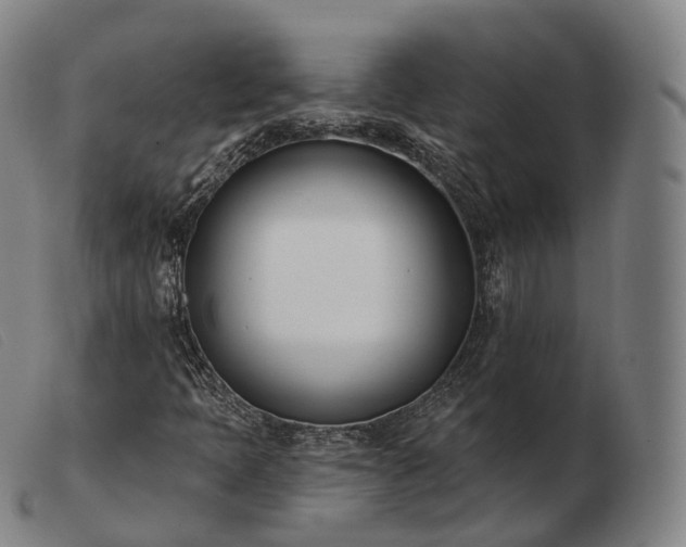 X0000103471397200809191824