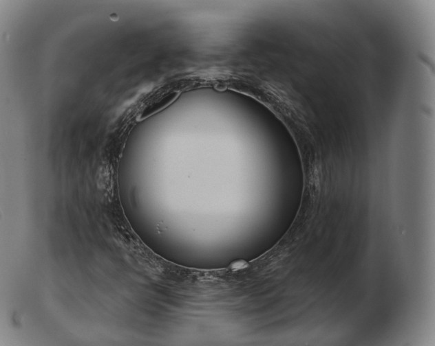 X0000103471398200809191824