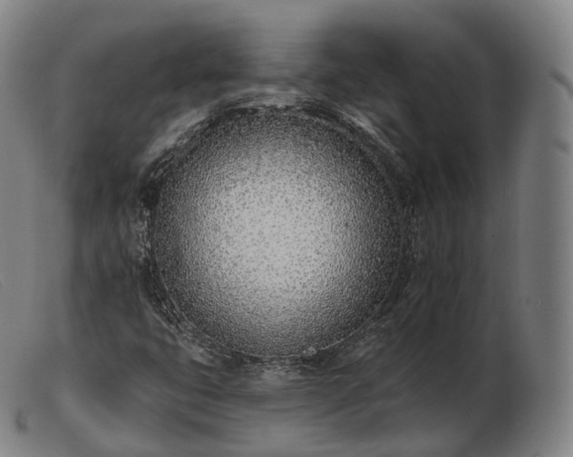 X0000103471399200809191824