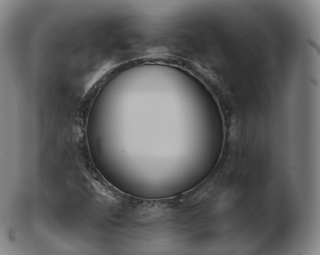 X0000103471400200809191824