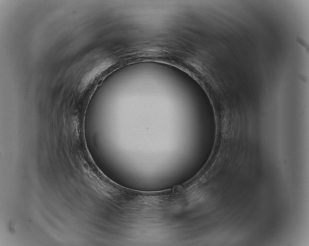 X0000103471402200809191824