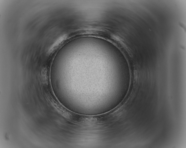 X0000103471403200809191824