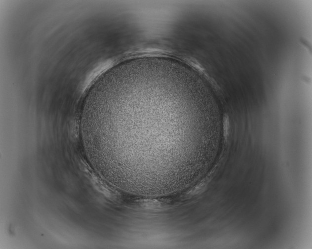 X0000103471405200809191824