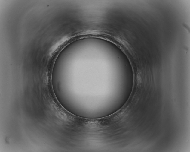 X0000103471406200809191824