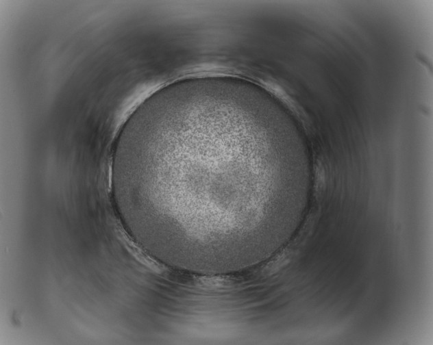 X0000103471413200809191825