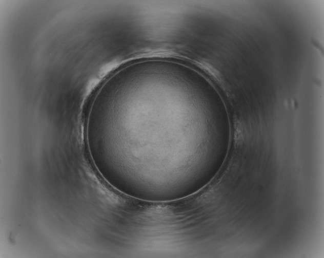 X0000103471414200809191825