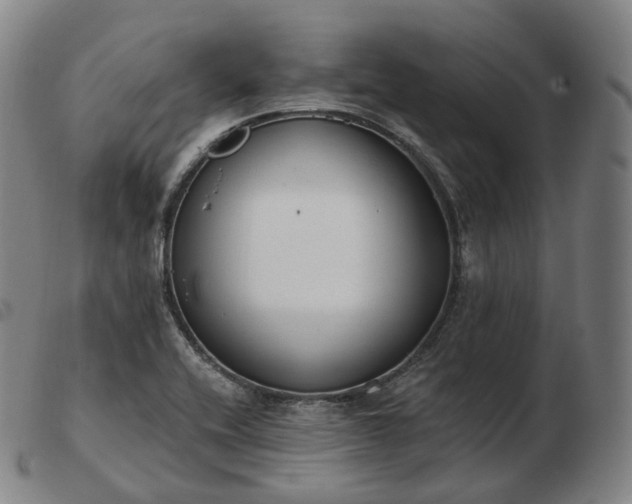 X0000103471416200809191825