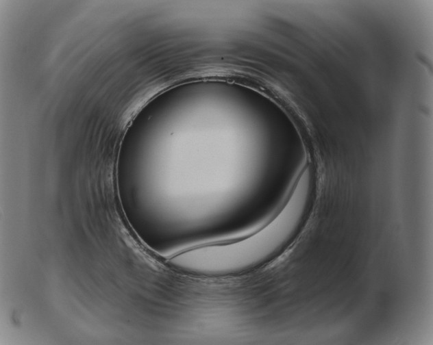 X0000103471417200809191825