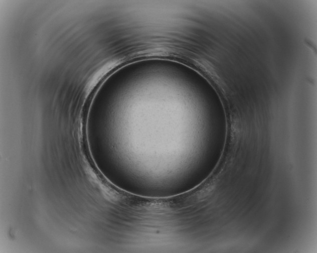 X0000103471418200809191825