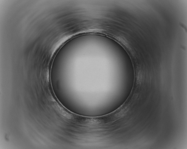 X0000103471420200809191825