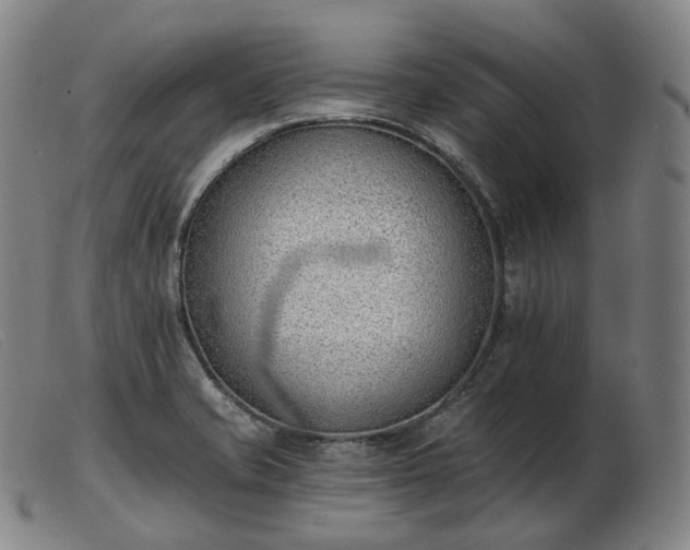 X0000103471421200809191825