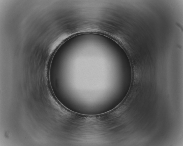 X0000103471422200809191825