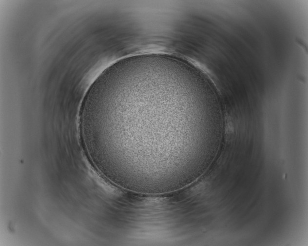 X0000103471423200809191825