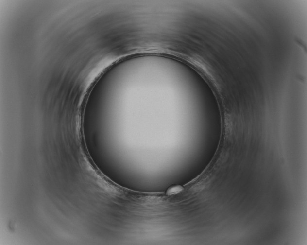 X0000103471424200809191825