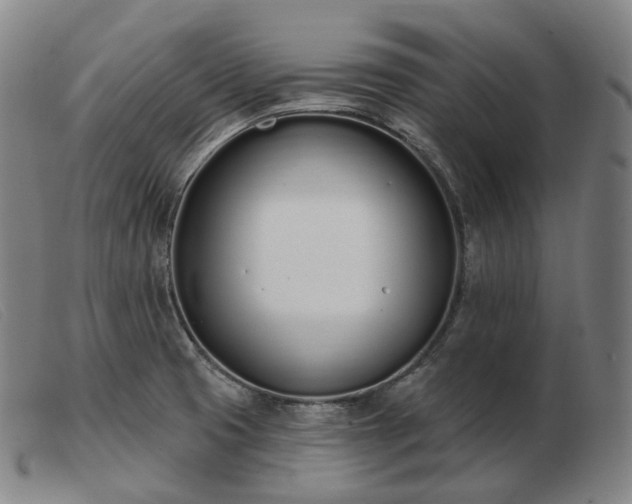 X0000103471425200809191825