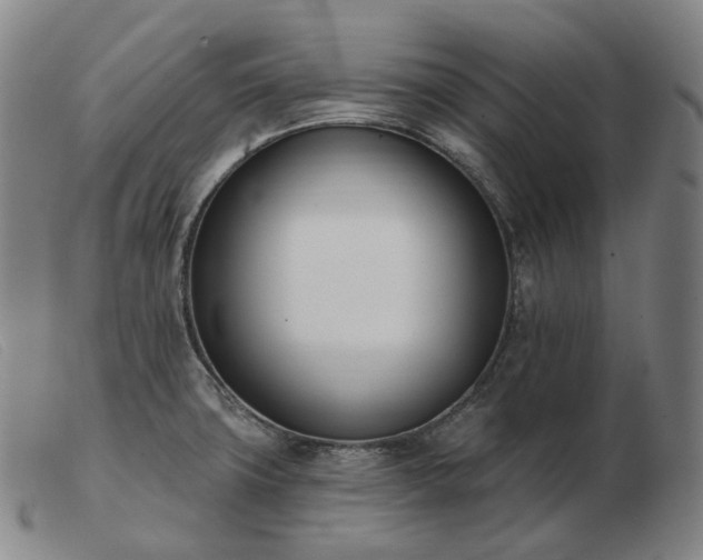 X0000103471427200809191825