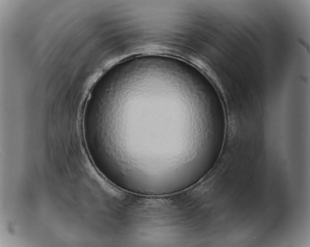 X0000103471429200809191825