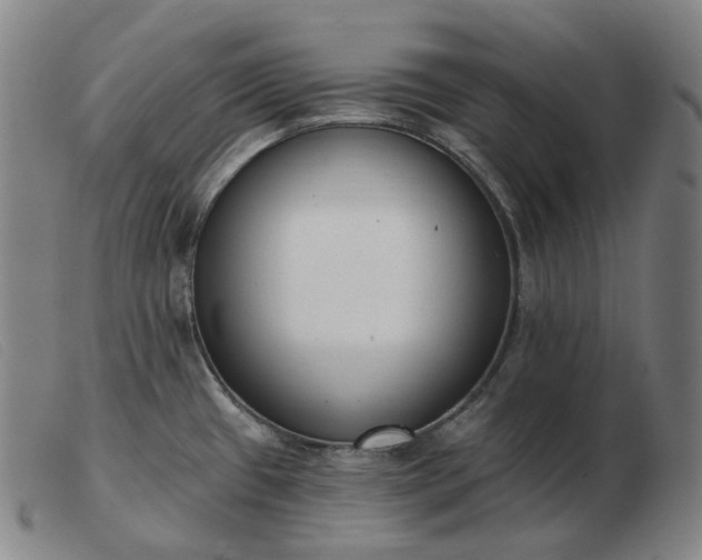 X0000103471433200809191825