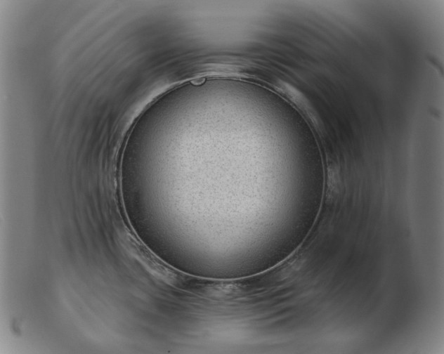 X0000103471435200809191825