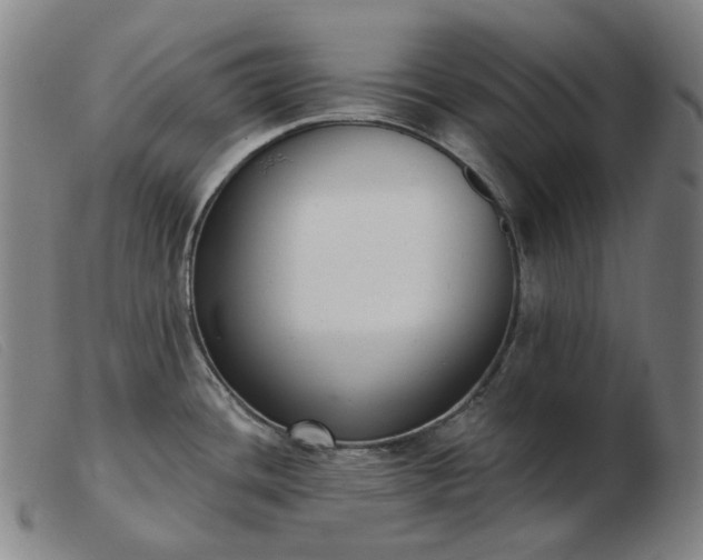 X0000103471436200809191825