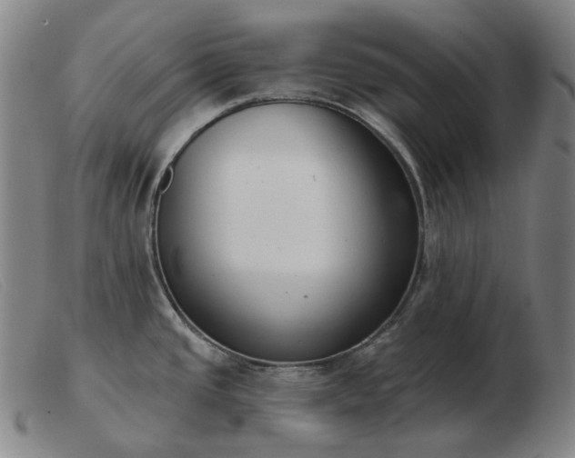 X0000103471437200809191825