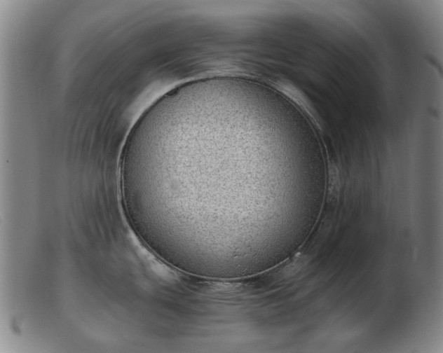 X0000103471439200809191825