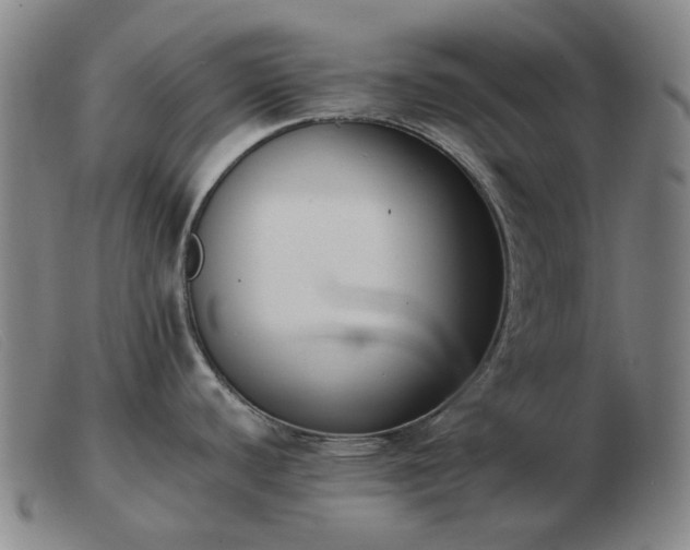 X0000103471440200809191825