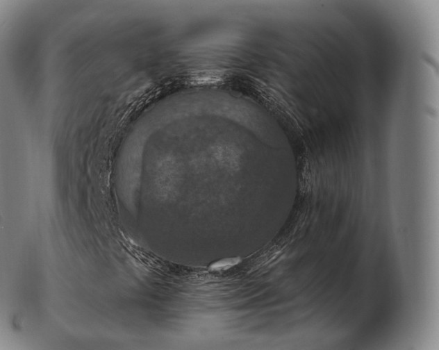 X0000103471441200809191824