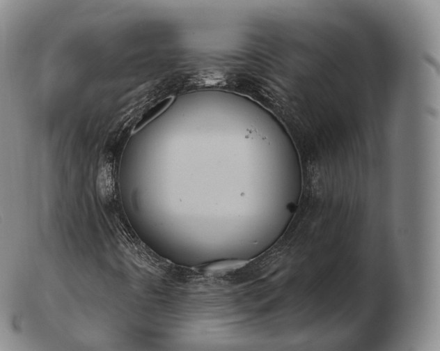 X0000103471442200809191824