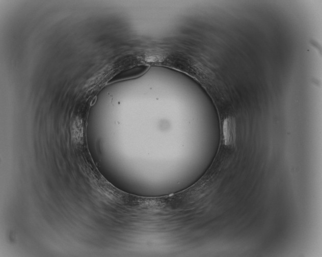 X0000103471443200809191824