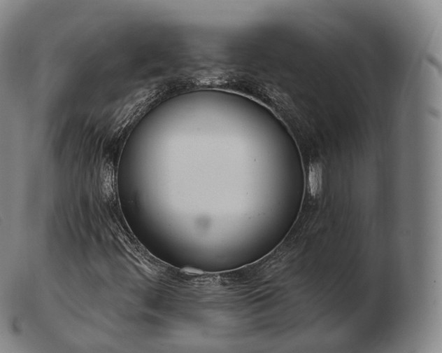 X0000103471444200809191824