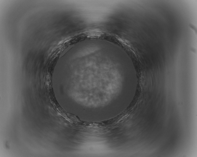 X0000103471445200809191824