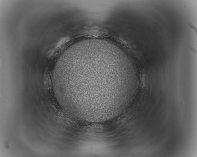 X0000103471446200809191824