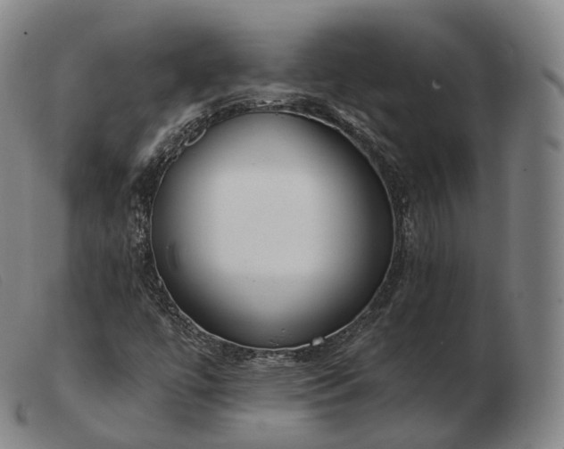 X0000103471447200809191824