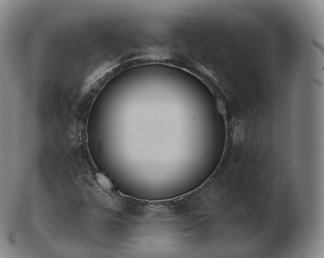 X0000103471448200809191824