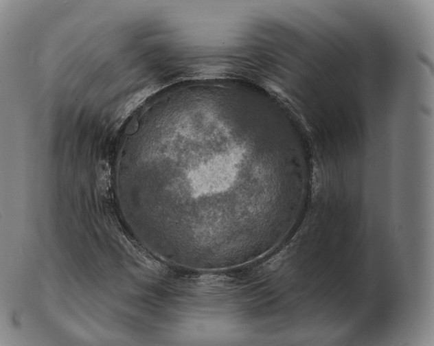 X0000103471449200809191824